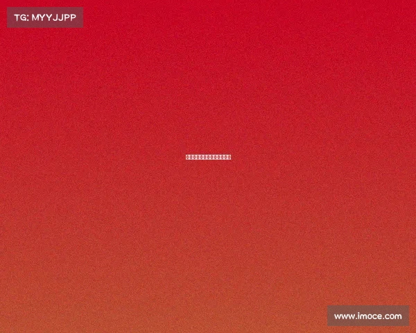 国际排联赛事—国际排联比赛