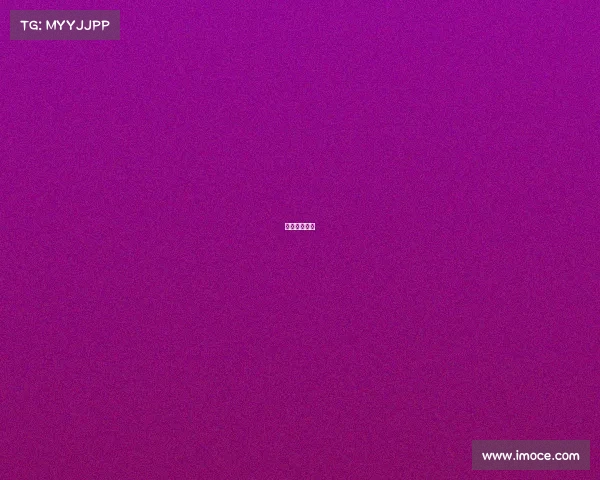 赛事法律服务 赛事法律服务